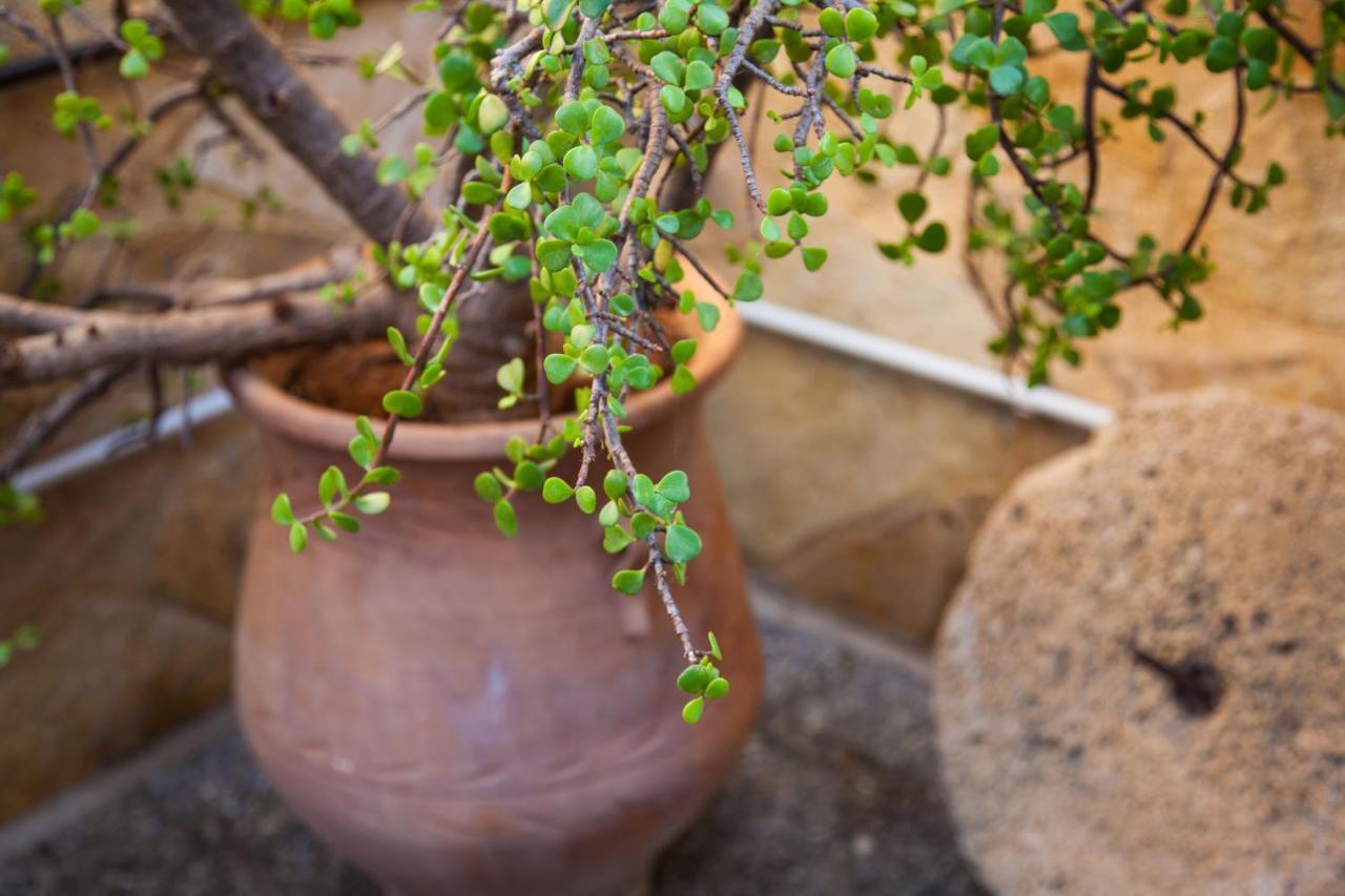 הוילה Lakíthra La Casa D'Estate מראה חיצוני תמונה
